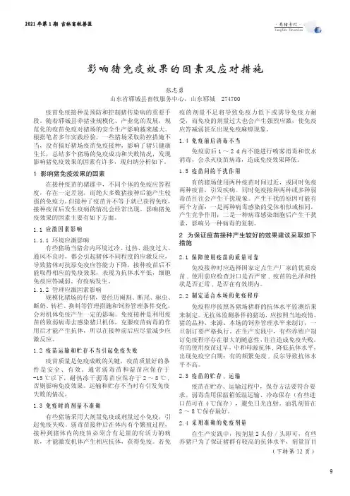 影响猪免疫效果的因素及应对措施