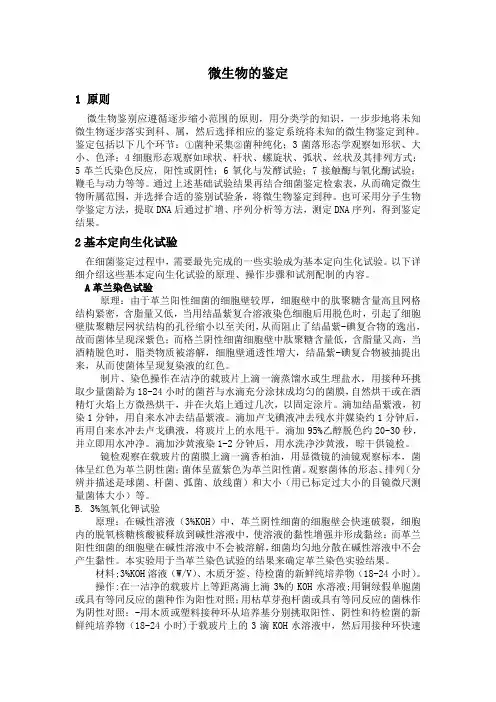 菌种鉴定SOP