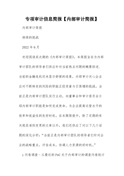 专项审计信息简报【内部审计简报】