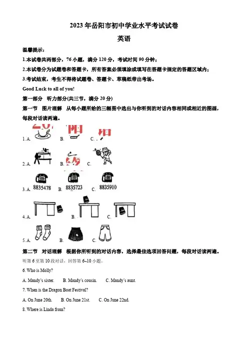 2023年湖南省岳阳市中考英语真题(解析版)