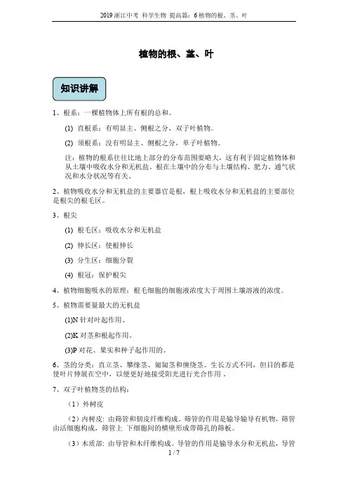 2019浙江中考 科学生物 提高篇：6植物的根、茎、叶
