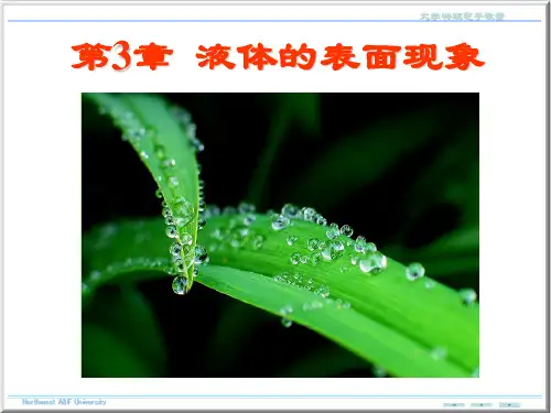 液体的表面现象-大学物理