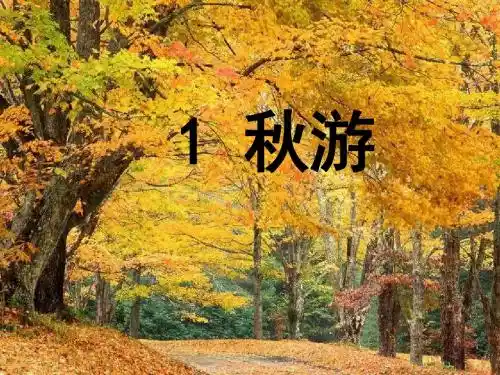 1.秋游