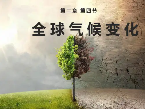 人教版》必修1》第二章 地球上的大气》第四节 全球气候变化(28张ppt)