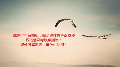 侧面描写教学ppt课件