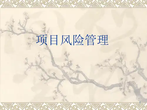 项目风险管理(课堂PPT)
