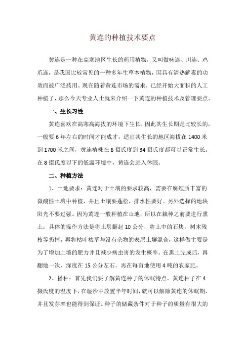 黄连的种植技术要点