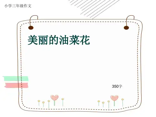 小学三年级作文《美丽的油菜花》350字(共6页PPT)