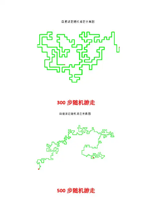 自避游走(CRW)matlab程序