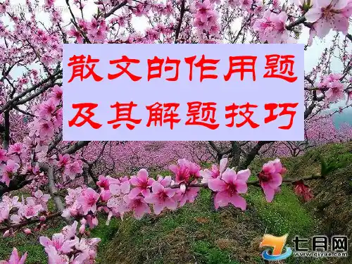 高中语文散文的作用题