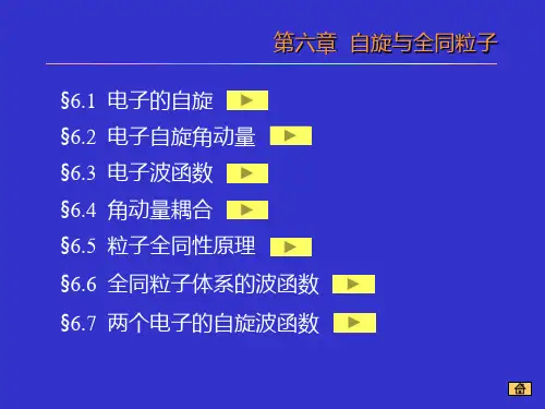 6自旋与全同粒子