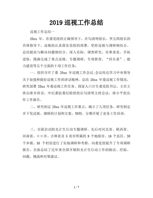 2019巡视工作总结