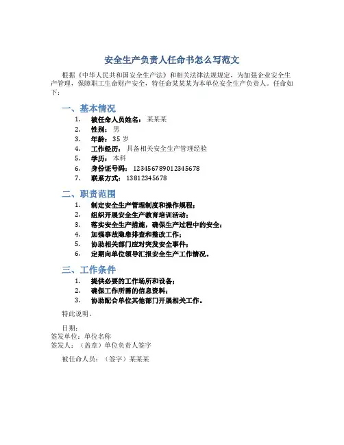 安全生产负责人任命书怎么写范文