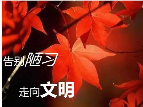 告别陋习,走向文明PPT课件