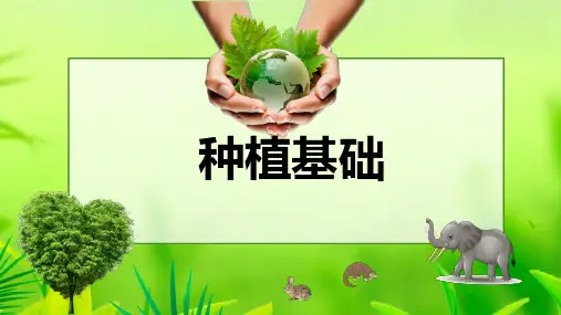 植物生长的光照条件课件(共26张PPT)《种植基础》同步教学(中国农业出版社)