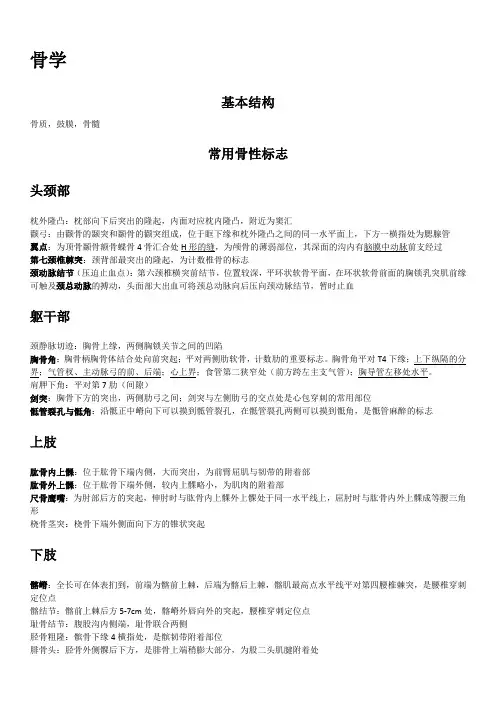 解剖学基础知识——运动系统
