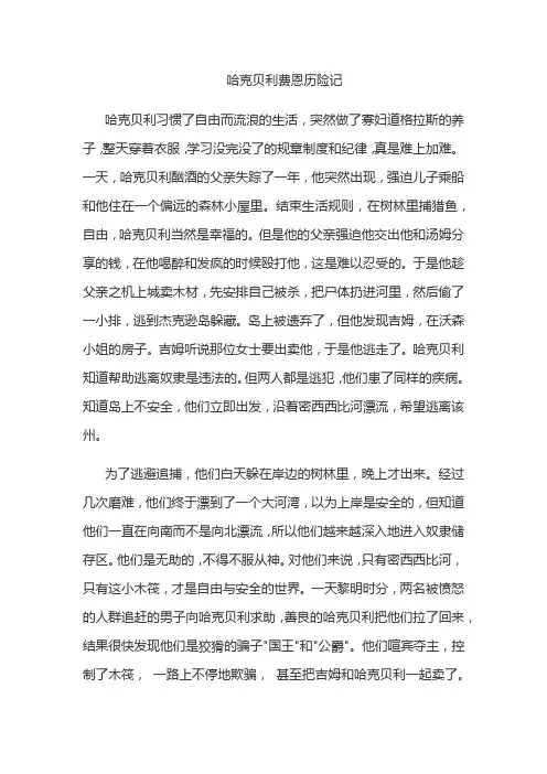 哈克贝利费恩历险记