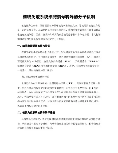 植物免疫系统细胞信号转导的分子机制