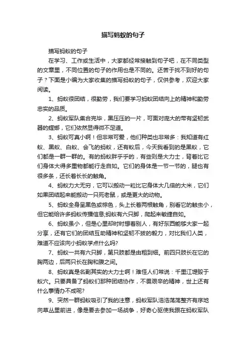 描写蚂蚁的句子