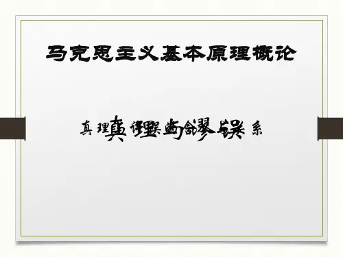 马克思原理真理与谬误