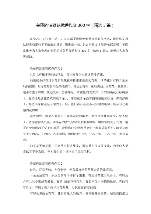 美丽的油菜花优秀作文300字(精选3篇)