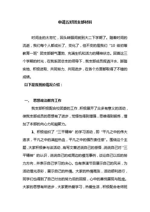 申请五好团支部材料