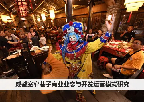 成都宽窄巷子商业业态功能研究(精品)