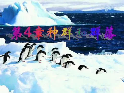 第1节 种群的特征