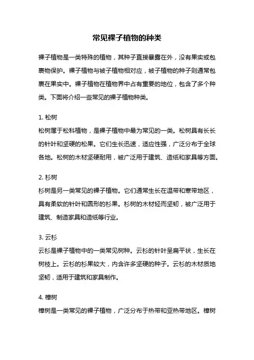 常见裸子植物的种类