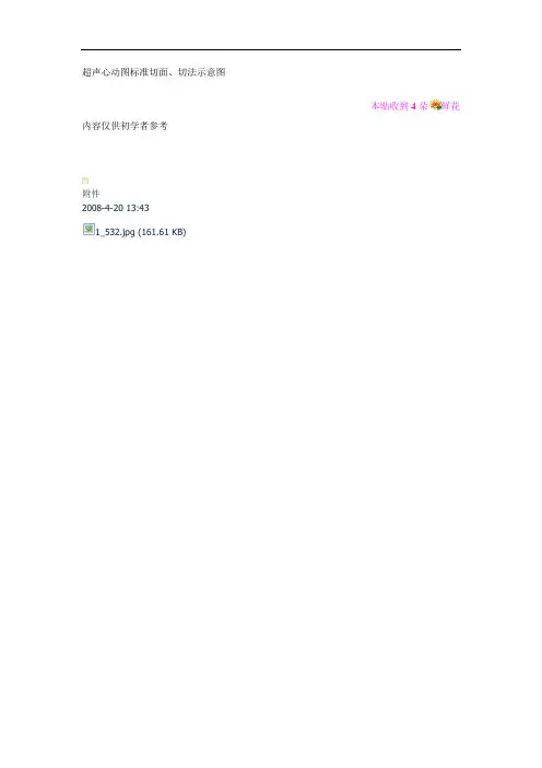 超声心动图标准切面、切法示意图