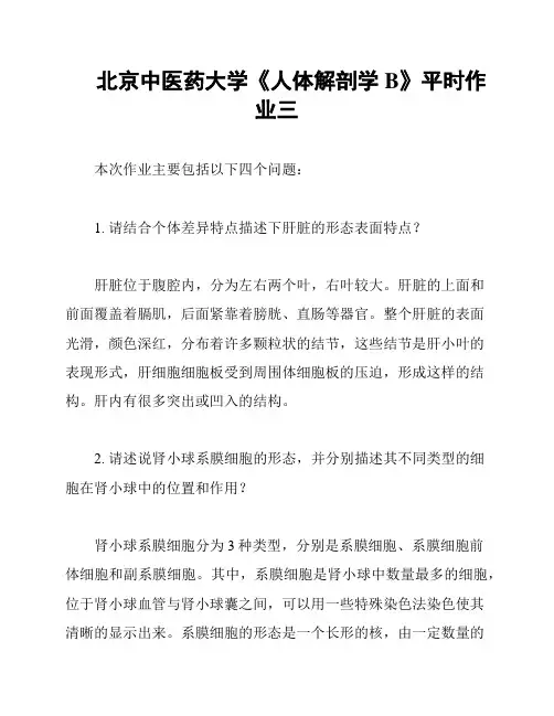 北京中医药大学《人体解剖学B》平时作业三