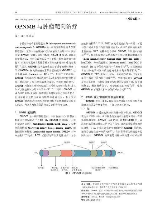 GPNMB与肿瘤靶向治疗