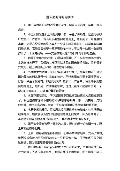野天鹅好词好句摘抄