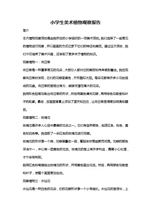 小学生美术植物观察报告