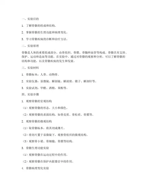 骨实验的实验报告
