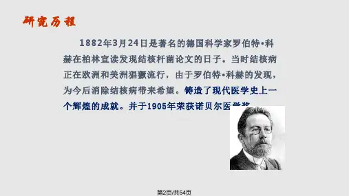 肺结核授课课件8详解