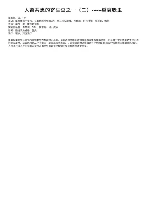 人畜共患的寄生虫之一（二）------重翼吸虫
