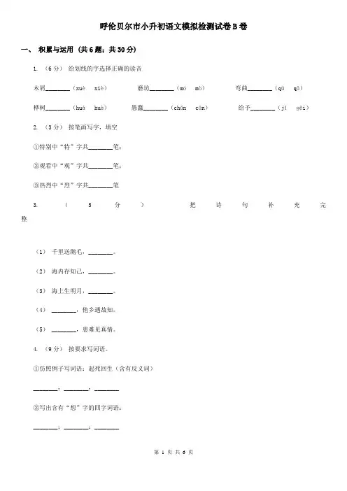 呼伦贝尔市小升初语文模拟检测试卷B卷