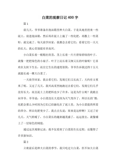 白菜的观察日记400字