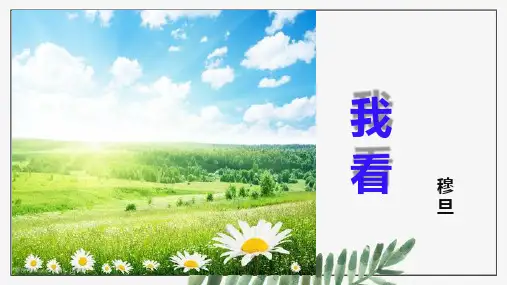 第6课《我看》课件-部编版语文九年级上册