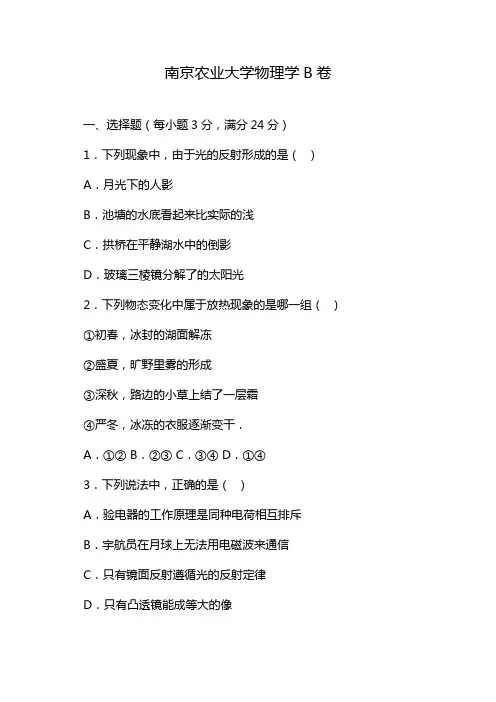 南京农业大学物理学B卷