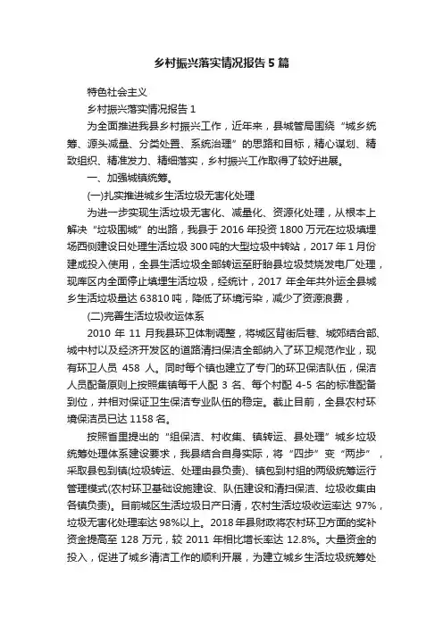 乡村振兴落实情况报告5篇