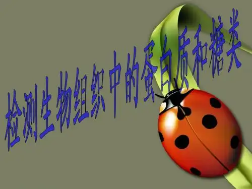 检测生物组织中的蛋白质和糖类