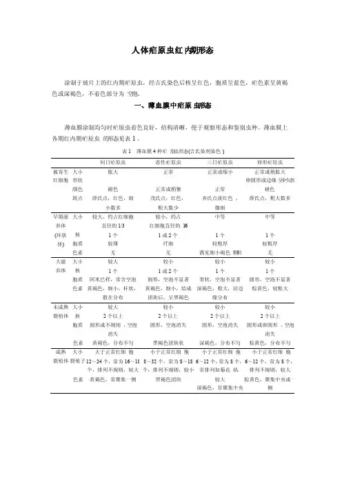 人体疟原虫红内期形态