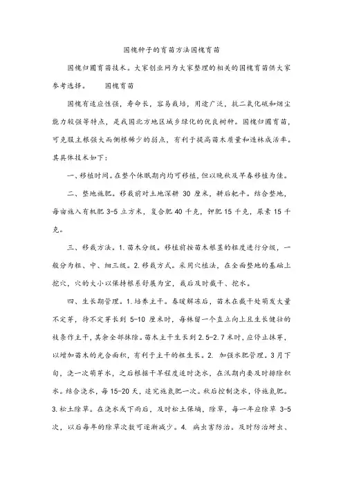 国槐种子的育苗方法国槐育苗