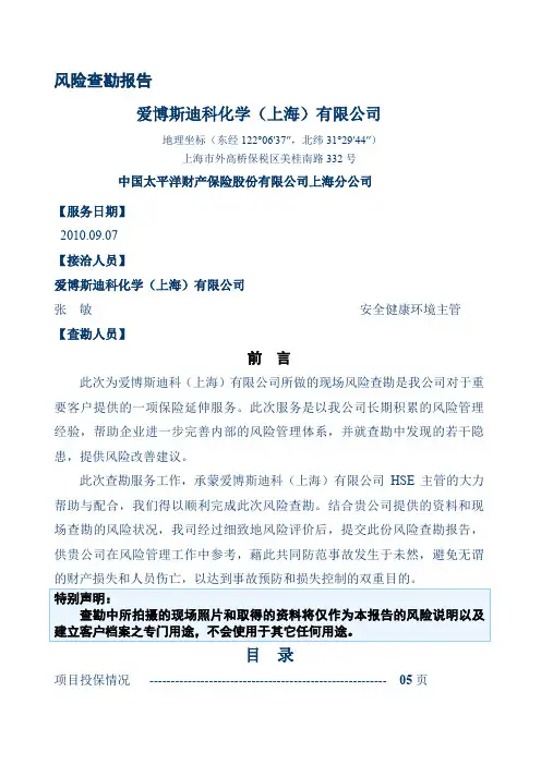 爱博斯迪克风险评估报告文稿