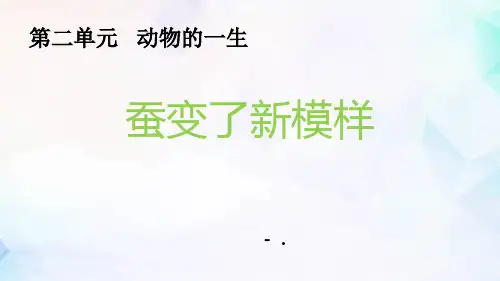 《蚕变了新模样》PPT