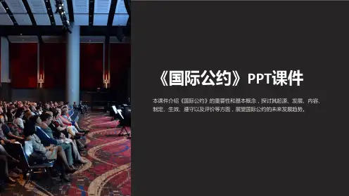 《国际公约》课件