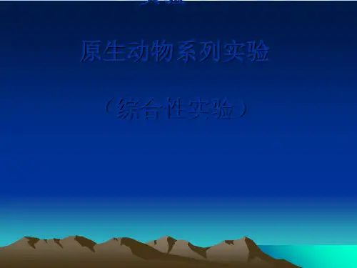 原生动物系列实验课件PPT