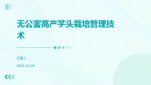 无公害高产芋头栽培管理技术